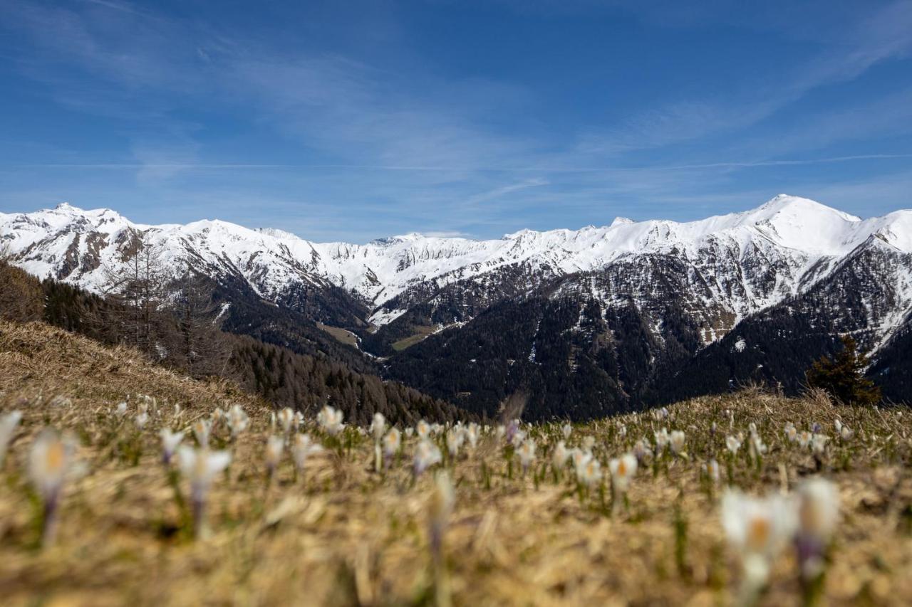 Ferienhaus Bergler Hoamat Navis Exteriör bild