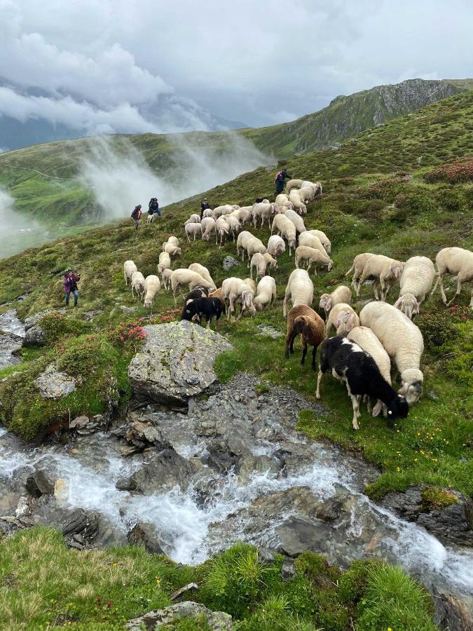 Ferienhaus Bergler Hoamat Navis Exteriör bild