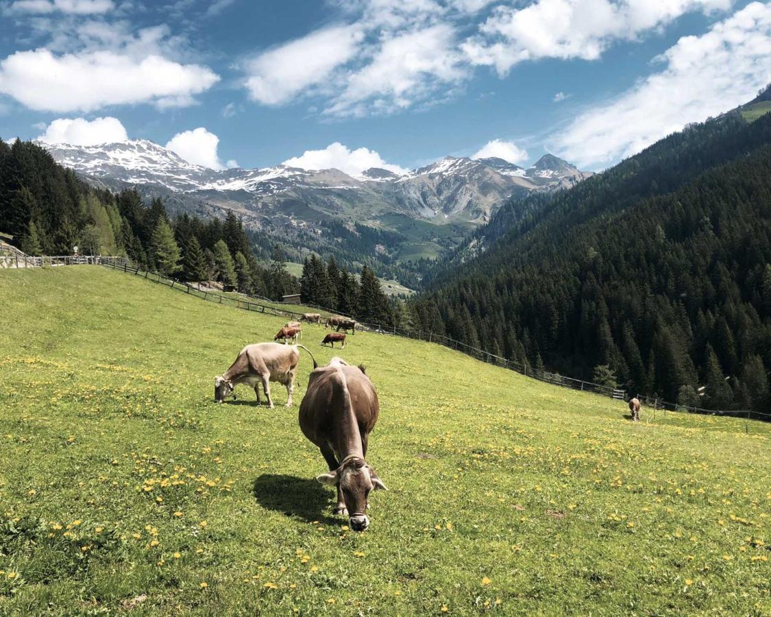 Ferienhaus Bergler Hoamat Navis Exteriör bild